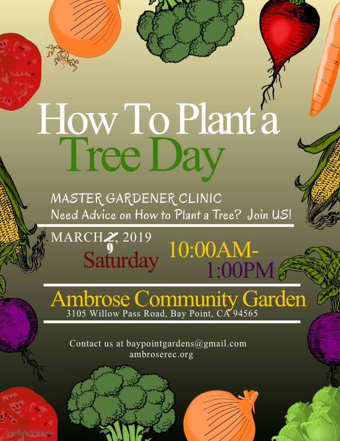 How to Plant a Tree Day (Rescheduled) Ambrose Recreation and Park